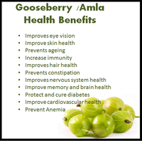 Indian Gooseberry / Amla Tea: The Anti-Ageing Fruit Tea  (40 teabags, 80g)